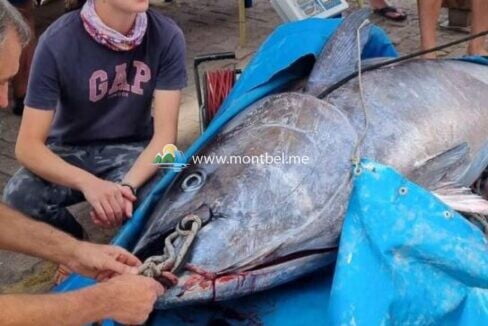 рыбалка в Черногории